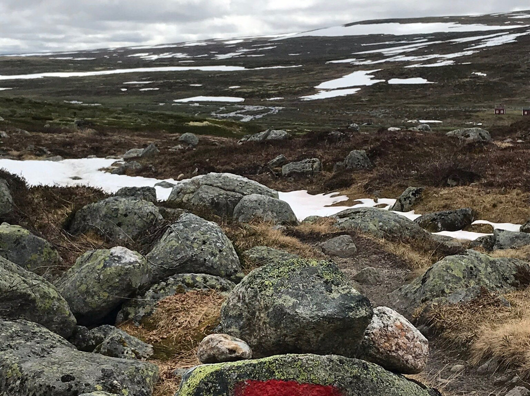 Dyranut Fjellstove主图