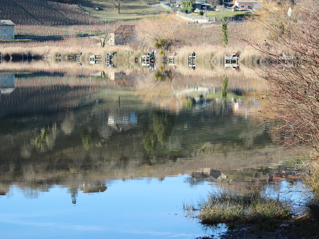 Lac de Saint-André景点图片