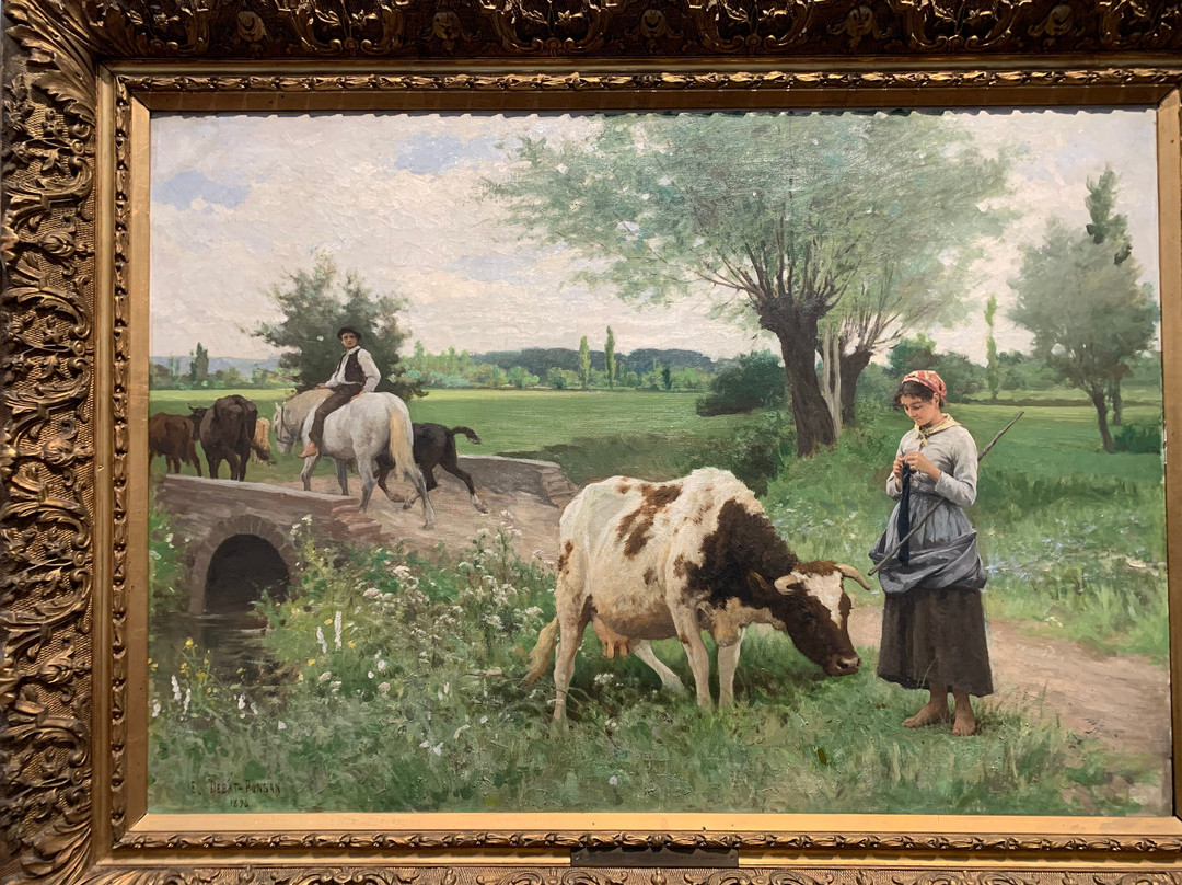 Musee des Beaux Arts景点图片
