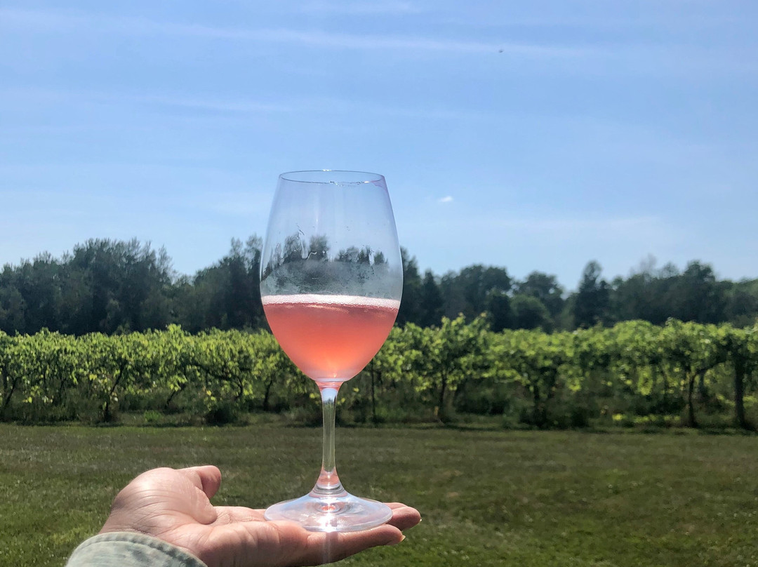 Vignoble Pigeon Hill-Saint-Armand必去景点