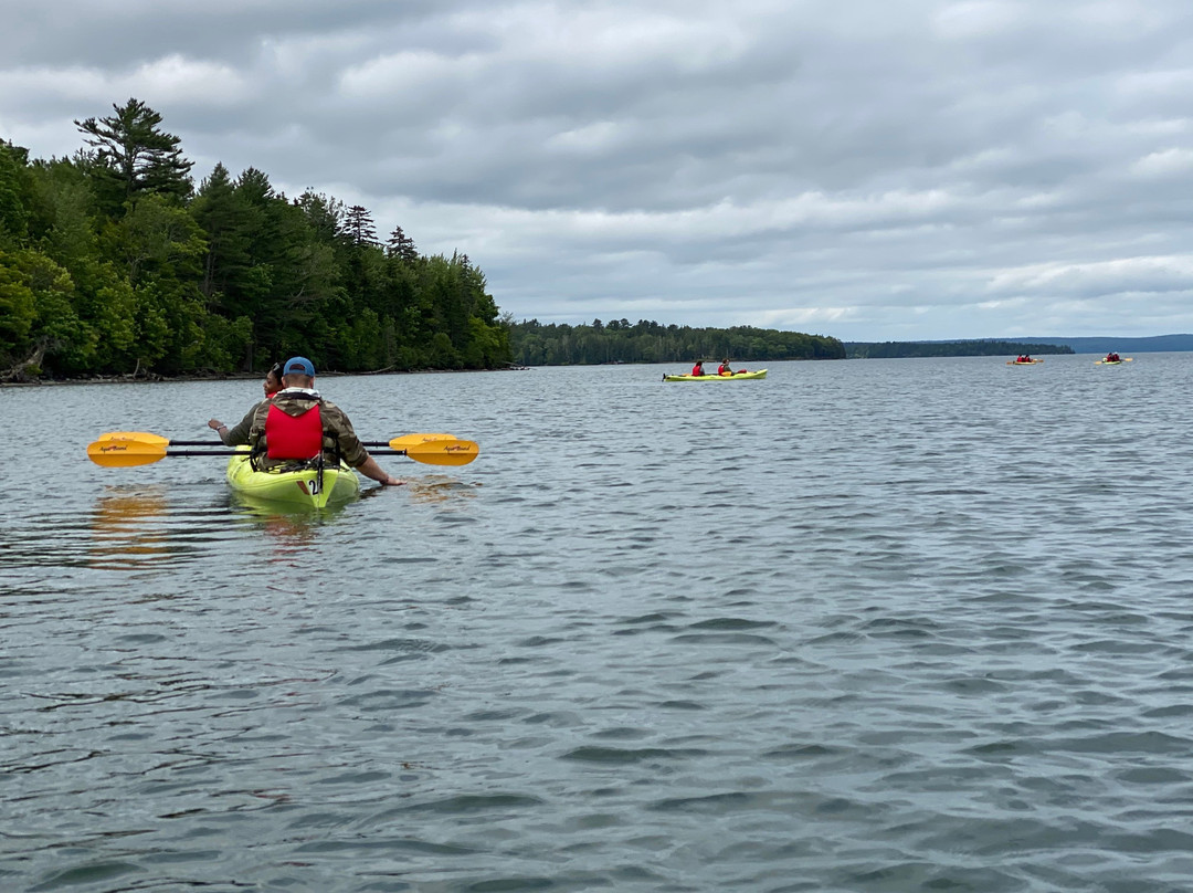 Maine State: Sea Kayak & E-bike景点图片