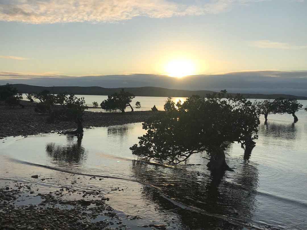 Fitzgerald Bay-Whyalla必去景点