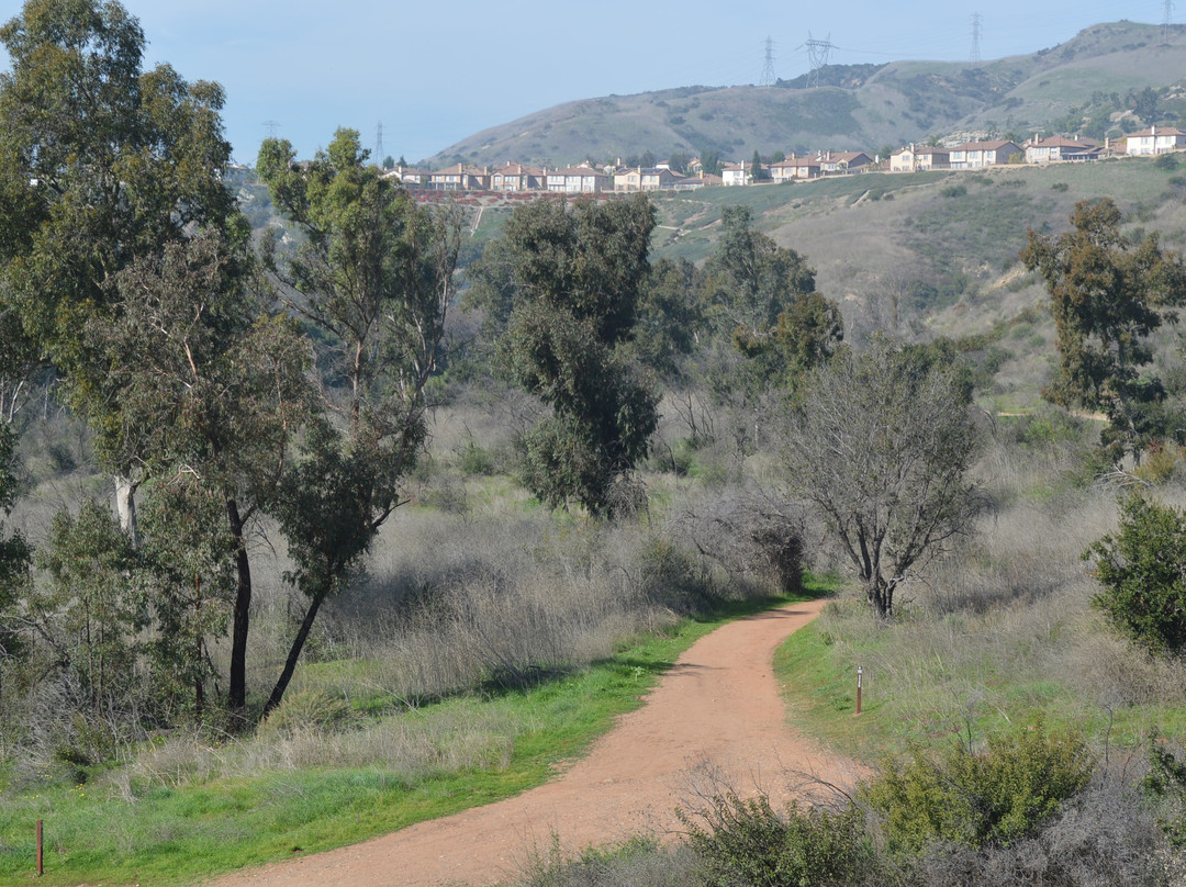 Santiago Oaks Regional Park-橘子郡必去景点
