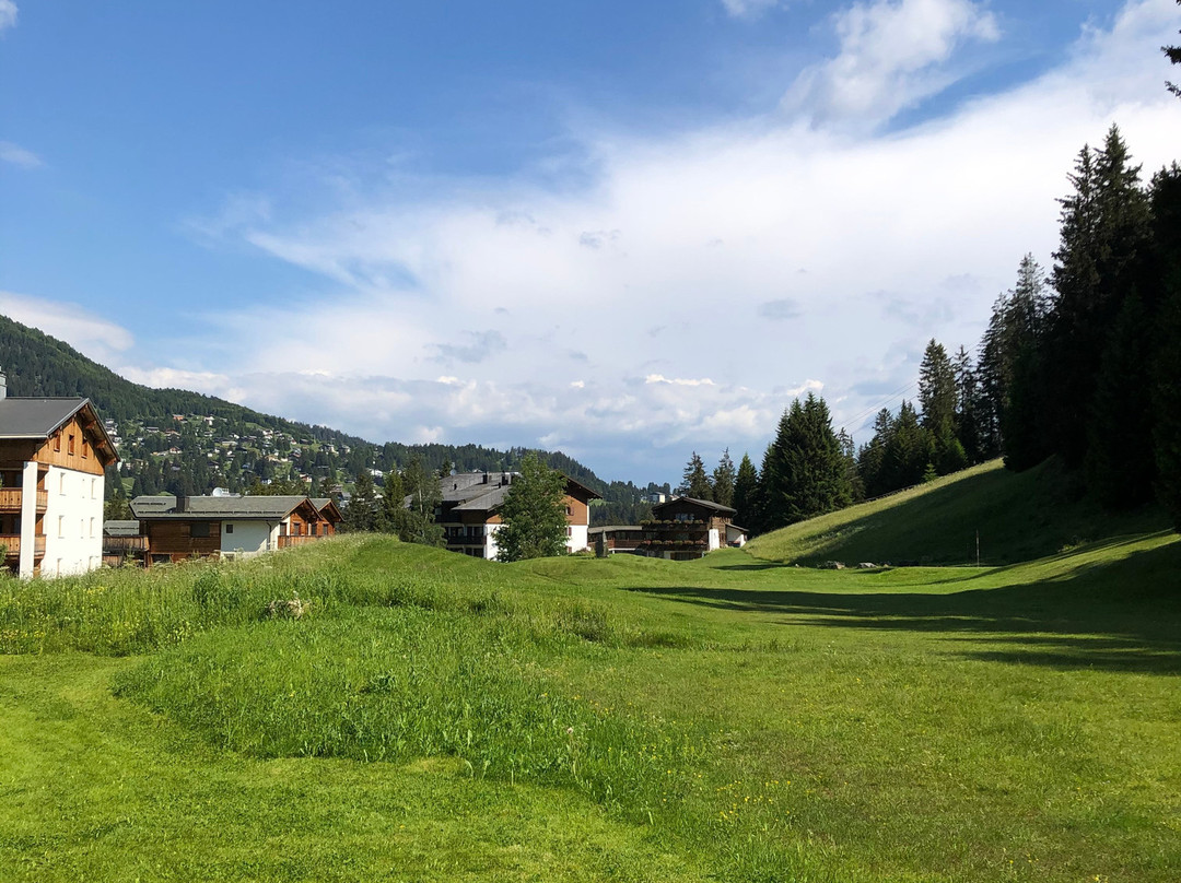 Priva Alpine Lodge Lenzerheide主图