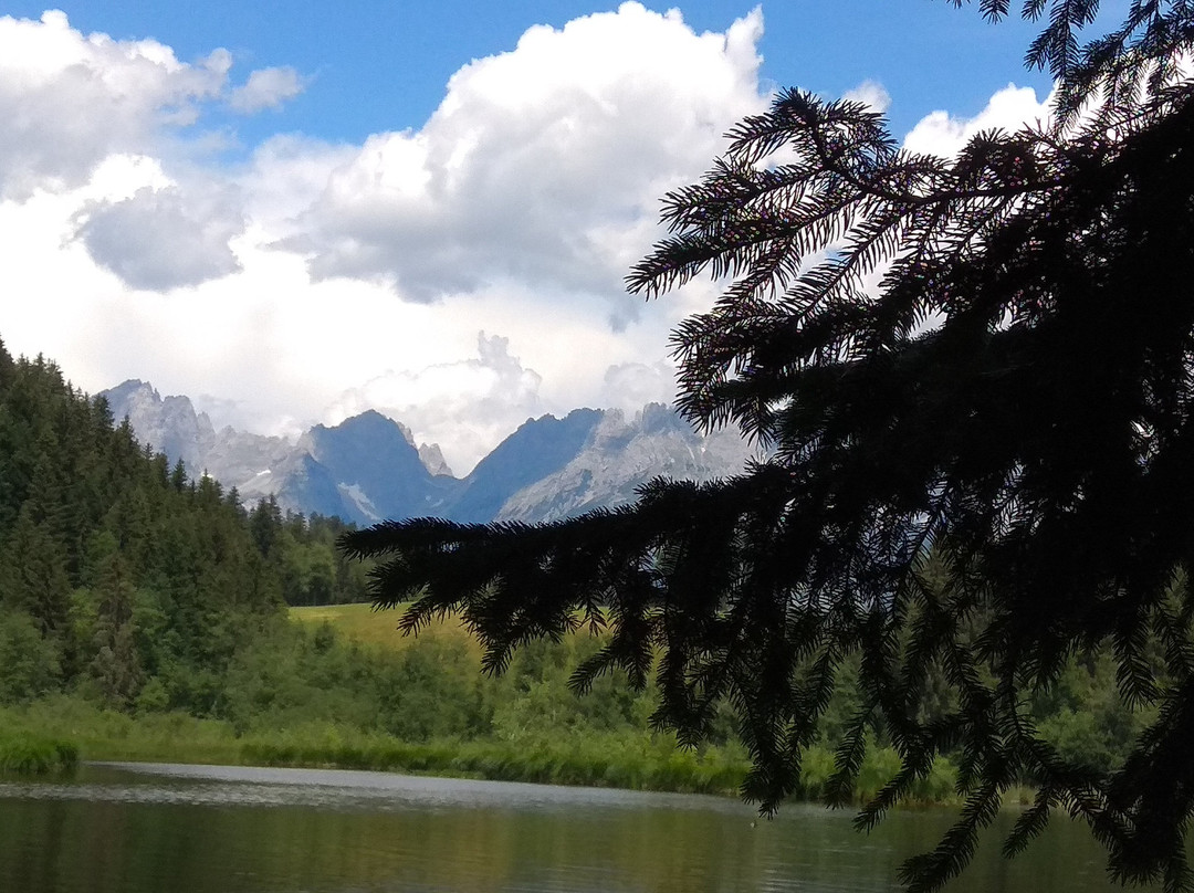 Waldbad Gieringer Weiher-Reith bei Kitzbuehel必去景点
