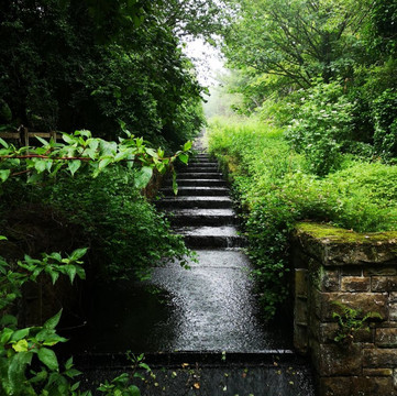 Strinesdale reservoir-奥尔德姆必去景点