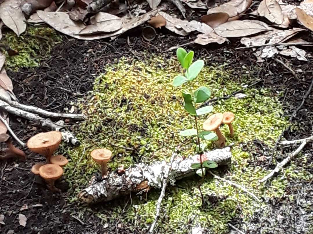 St. Francis Trail-迪兰必去景点