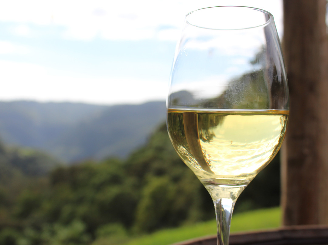 Vinícola Vinhos Don Severino-南卡希亚斯必去景点