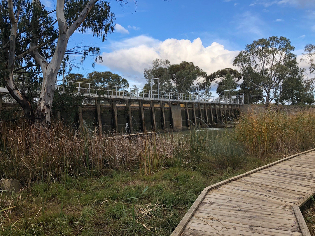 Yanga Track-霍舌姆必去景点