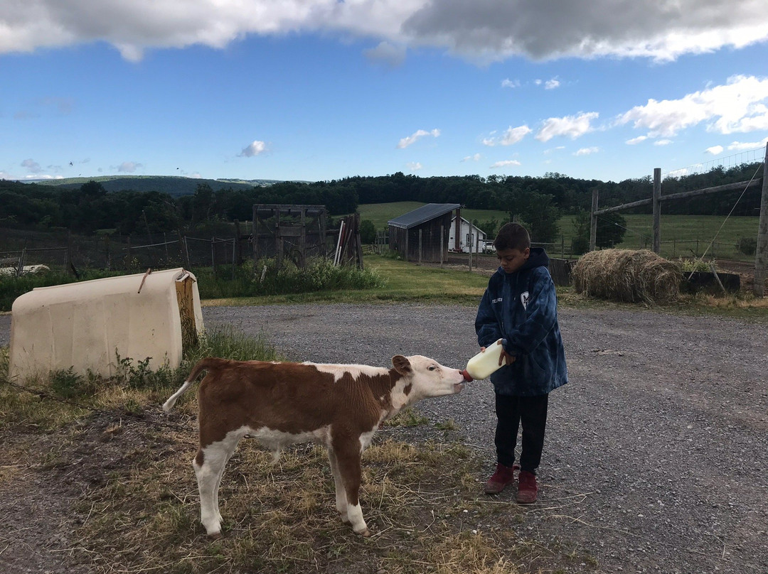 Durham旅游攻略图片