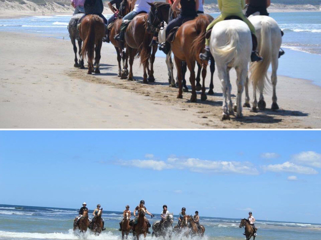 Centre de Tourisme Equestre de St Vivien景点图片