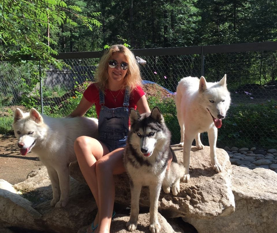 Husky Park Utulik景点图片