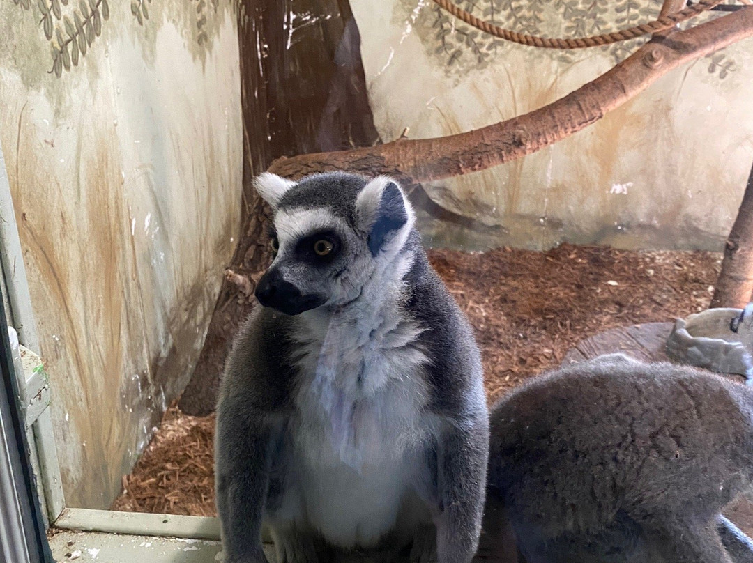 Summerfield Farm and Zoo-Belvidere必去景点