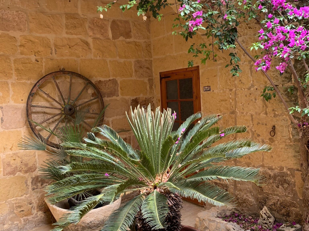 Mood Farmhouse Mythology主图