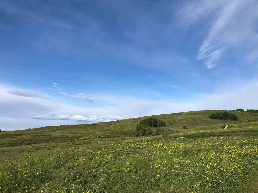 Nose Hill Park-卡尔加里必去景点