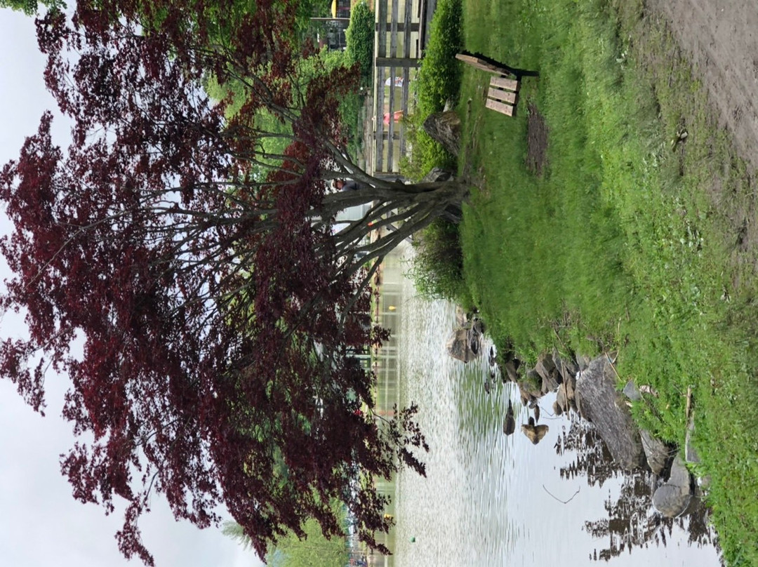 Lake Tomahawk Park景点图片