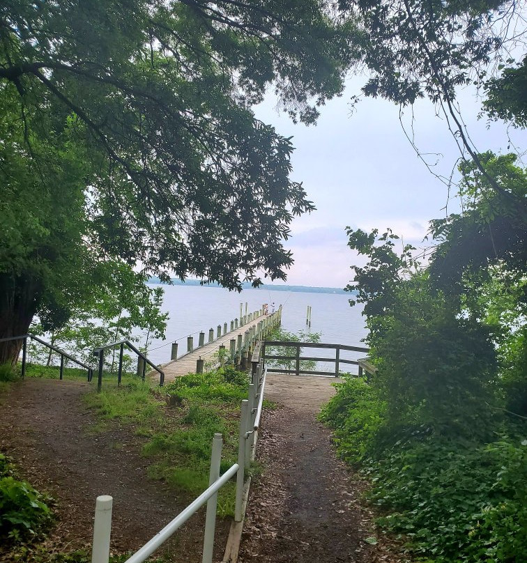Greenwell State Park景点图片