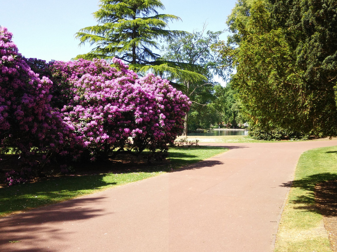 West Park, Wolverhampton景点图片