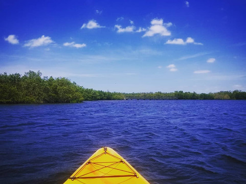 Surferbus-布雷登顿必去景点