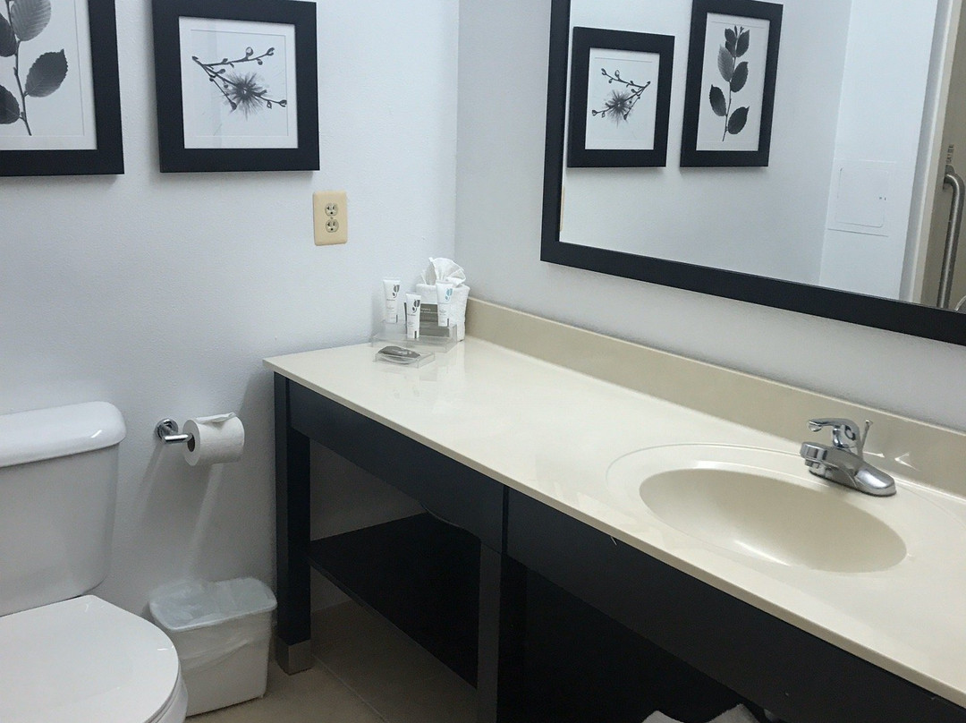 Country Inn & Suites by Radisson, Washington Dulles International Airport, VA主图