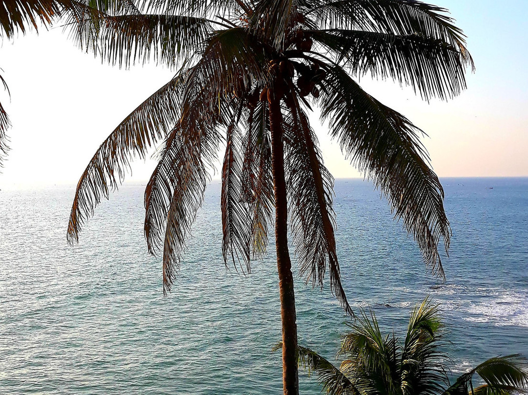Varkala Cliff景点图片