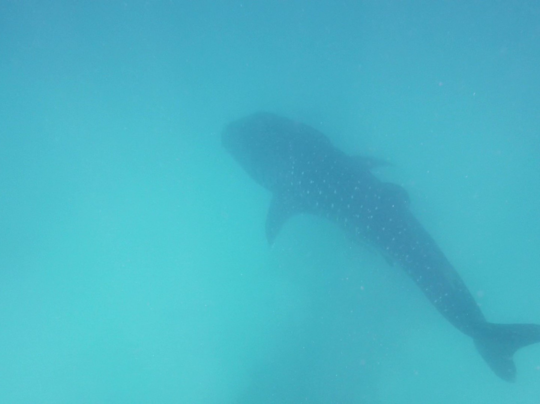 德瑞福特塞路维里加休闲酒店主图