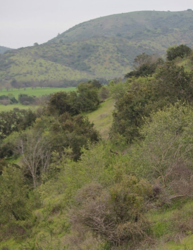 Matetic Vineyards-Lagunillas必去景点