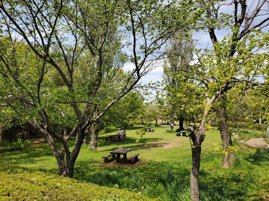 Nanaido Park景点图片