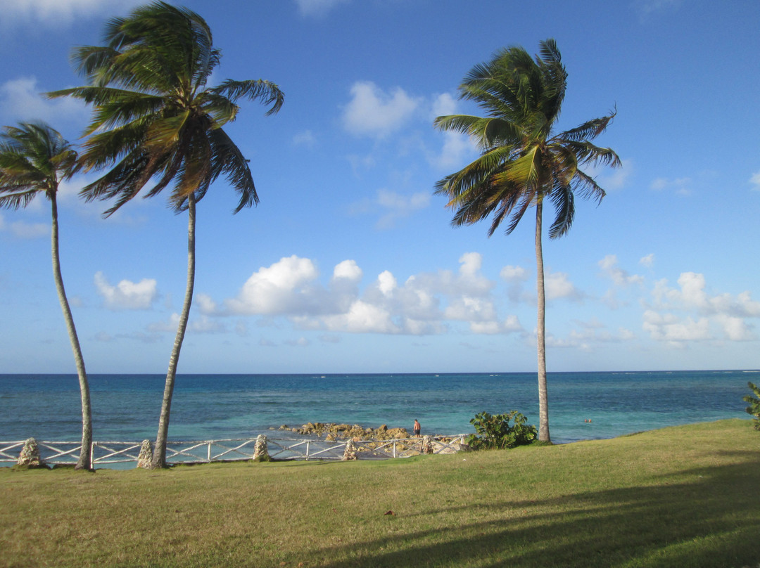 Hostal Los Amigos主图