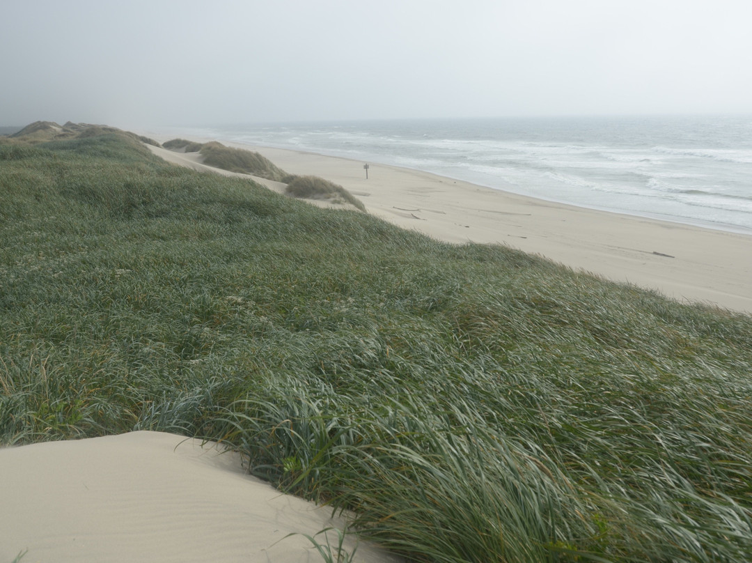 South Jetty County Park-弗洛伦斯必去景点