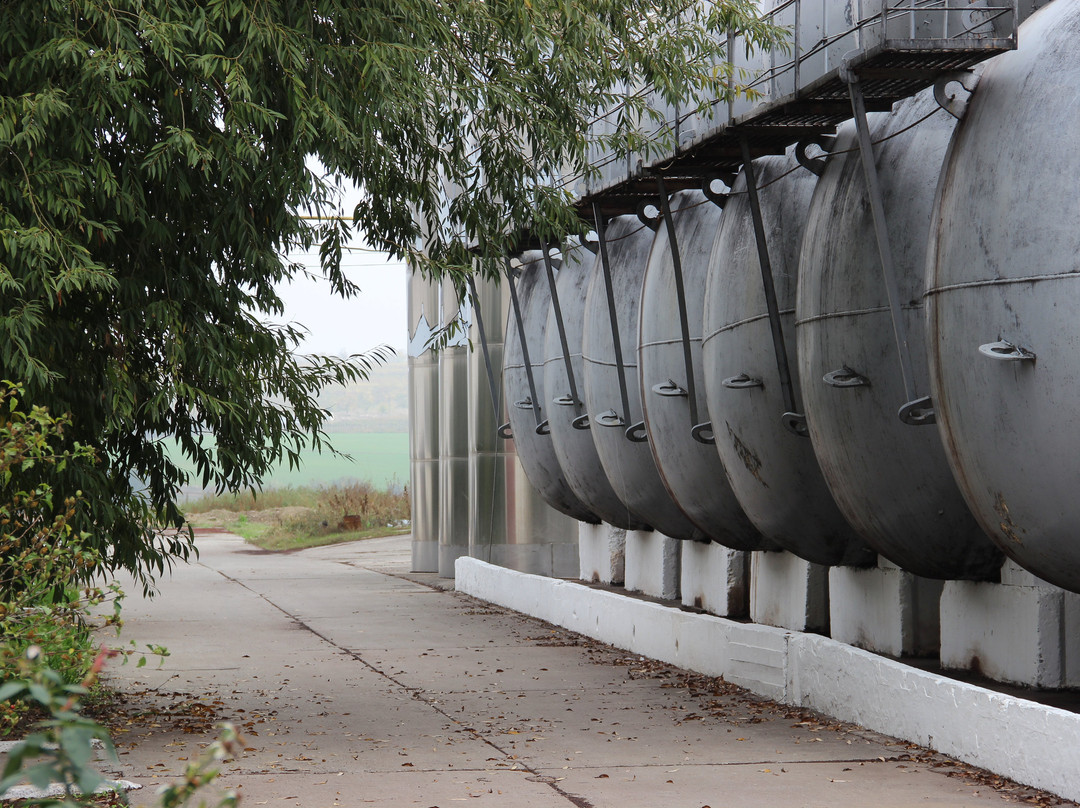 Winehall Oksamytne-Oksamytne必去景点