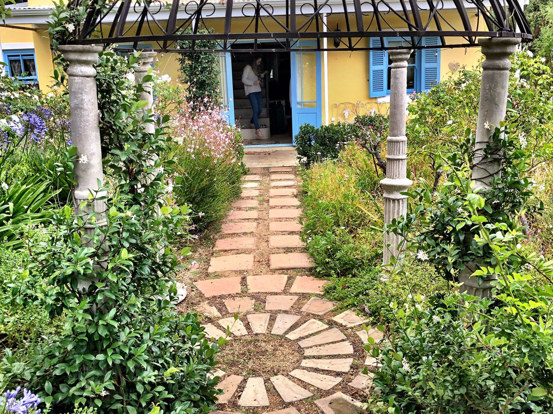 Shades of Provence主图