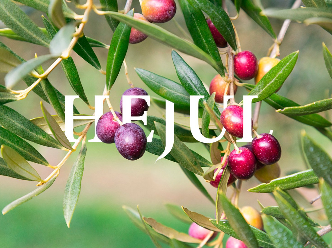 Aceites Hejul-Galilea必去景点