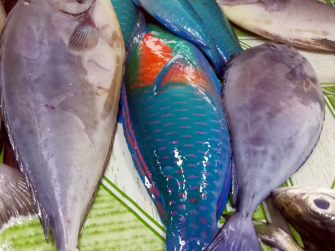 Fish and Meat Market-莫阿尔博阿尔必去景点