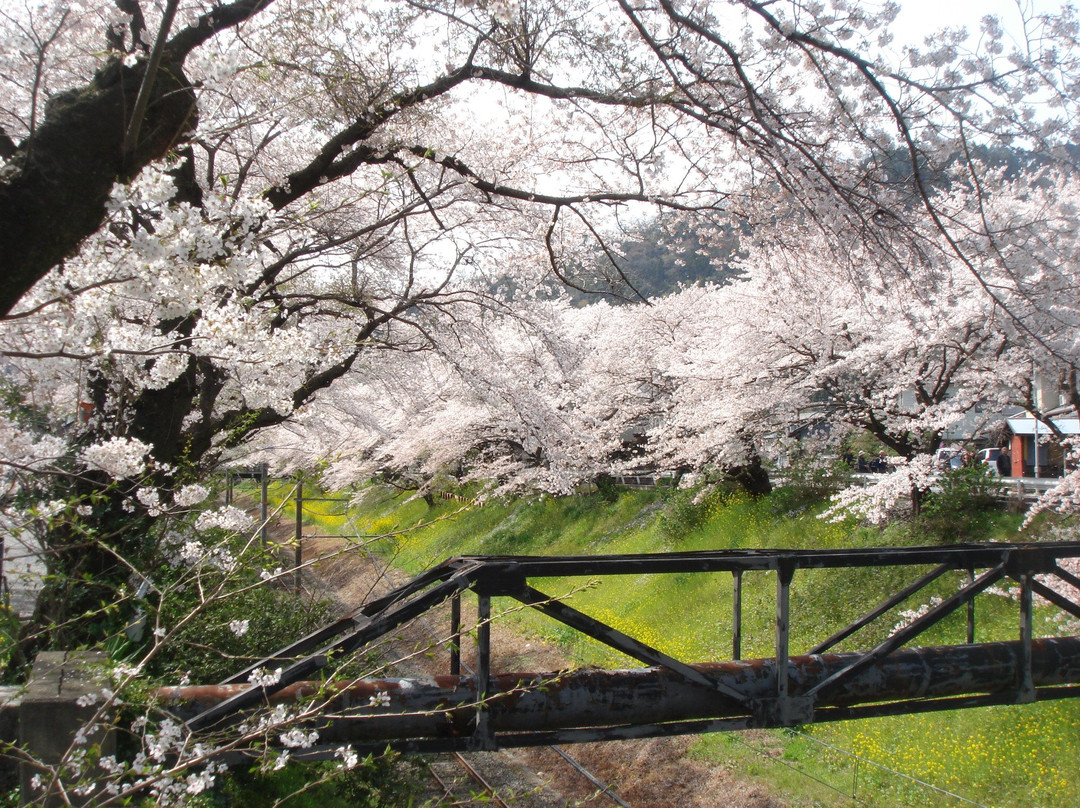 Yamakita-machi Furusato Koryu Center景点图片