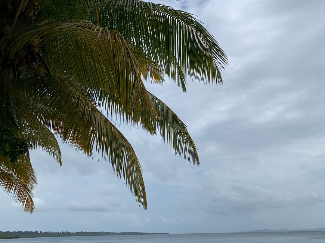 博卡德拉戈-博卡斯镇必去景点