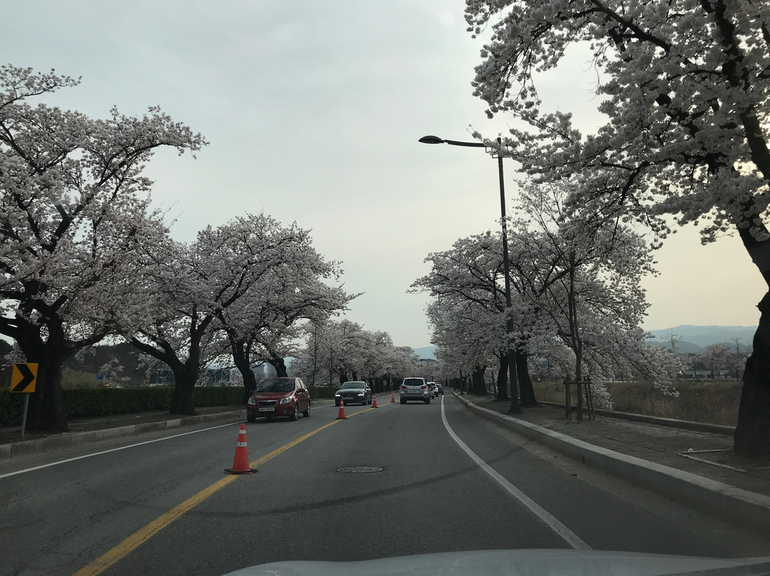 Gyeongpodae-江陵市必去景点