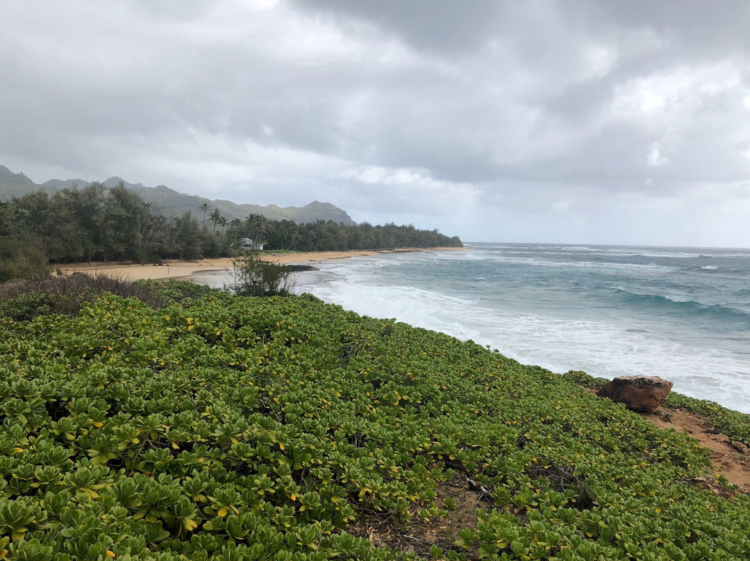 Gillin's Beach-坡伊普必去景点