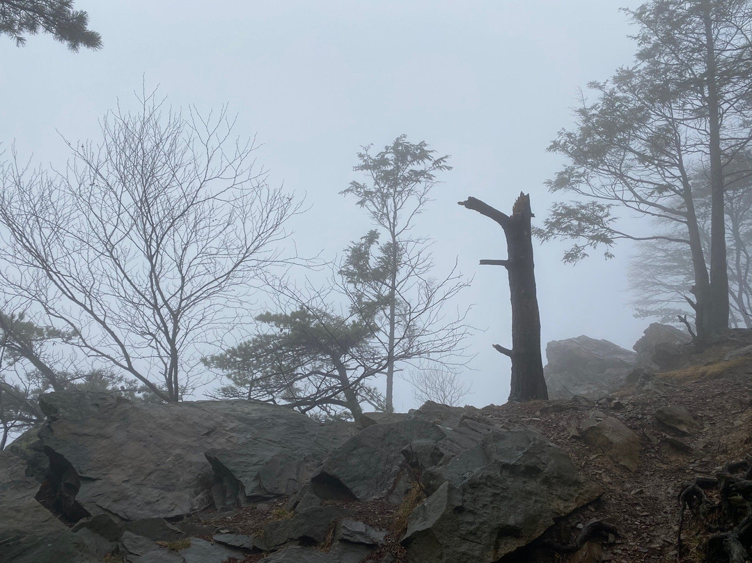 Hawk Rock Overlook景点图片