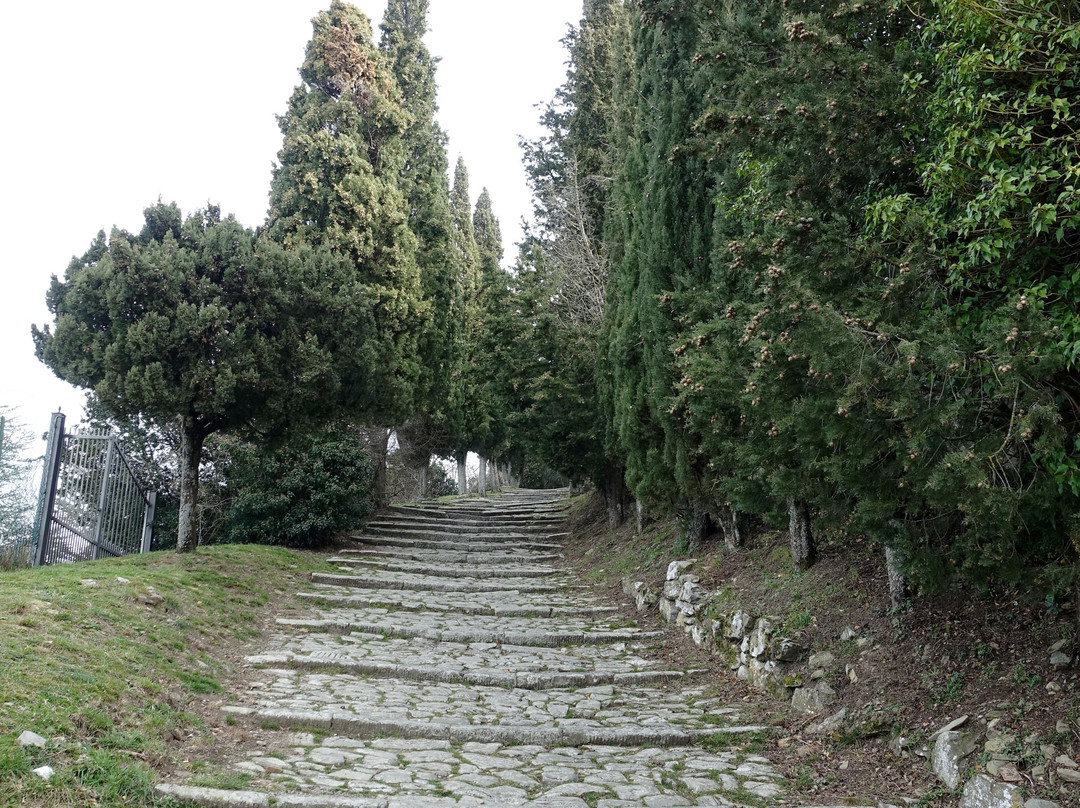 Basilica di Santa Margherita-科尔托纳必去景点