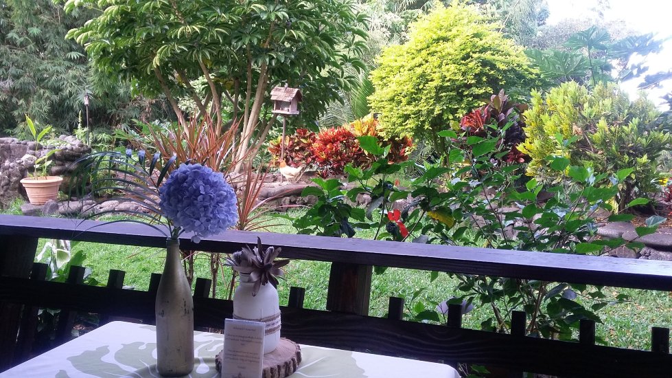 黑尔玛鲁希亚乡村酒店-餐饮