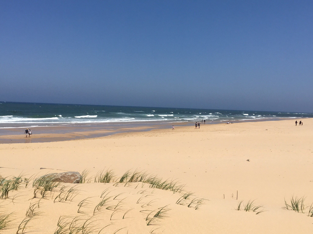 The Beach House主图