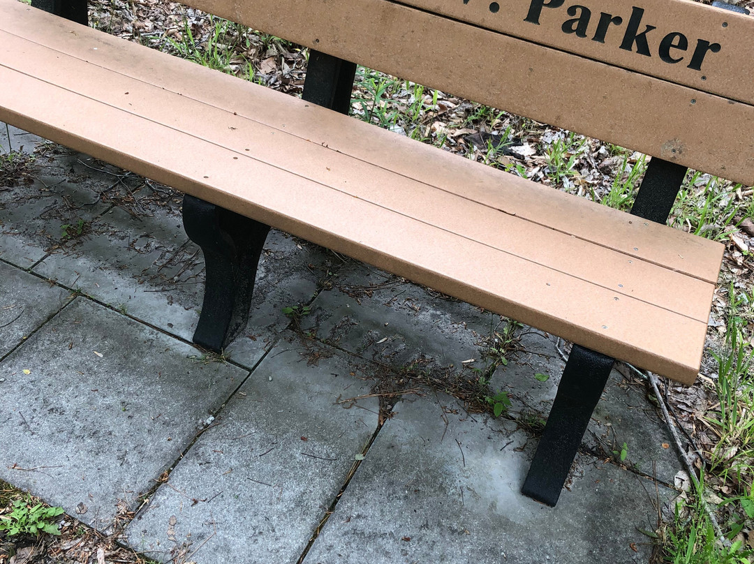 Latham Whitehurst Nature Park-新伯尔尼必去景点