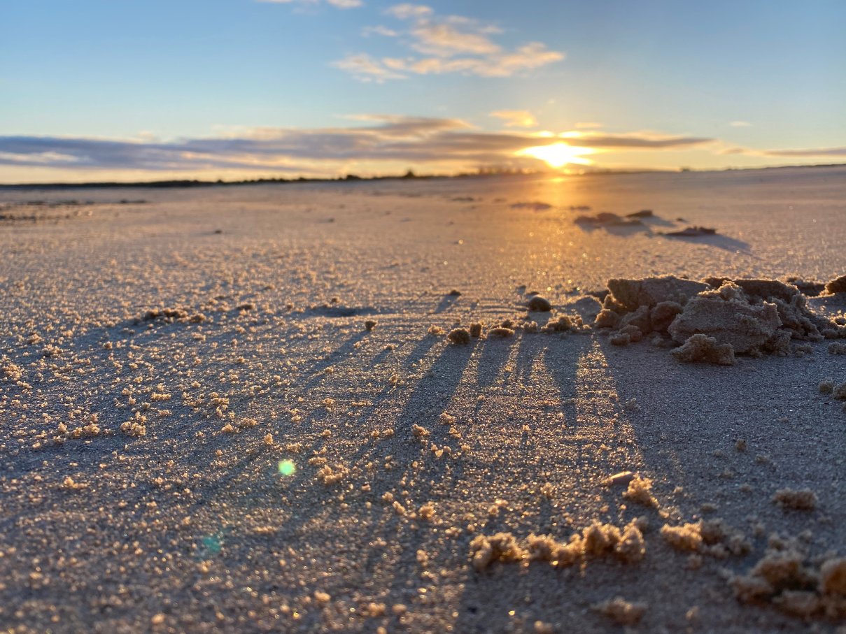 Brighton House B&B-官方