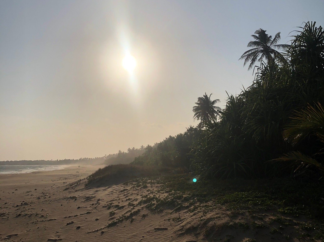 Golden Beach Paradise主图