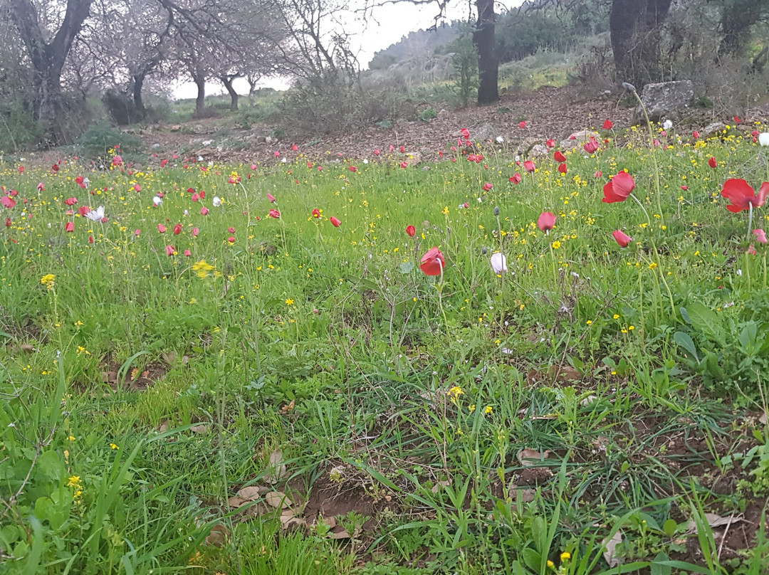 Mount Gilbo'a-Afula必去景点