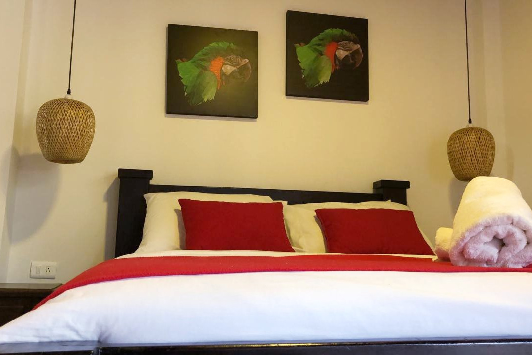 Entrepalmas Ecolodge Hotel Campestre主图