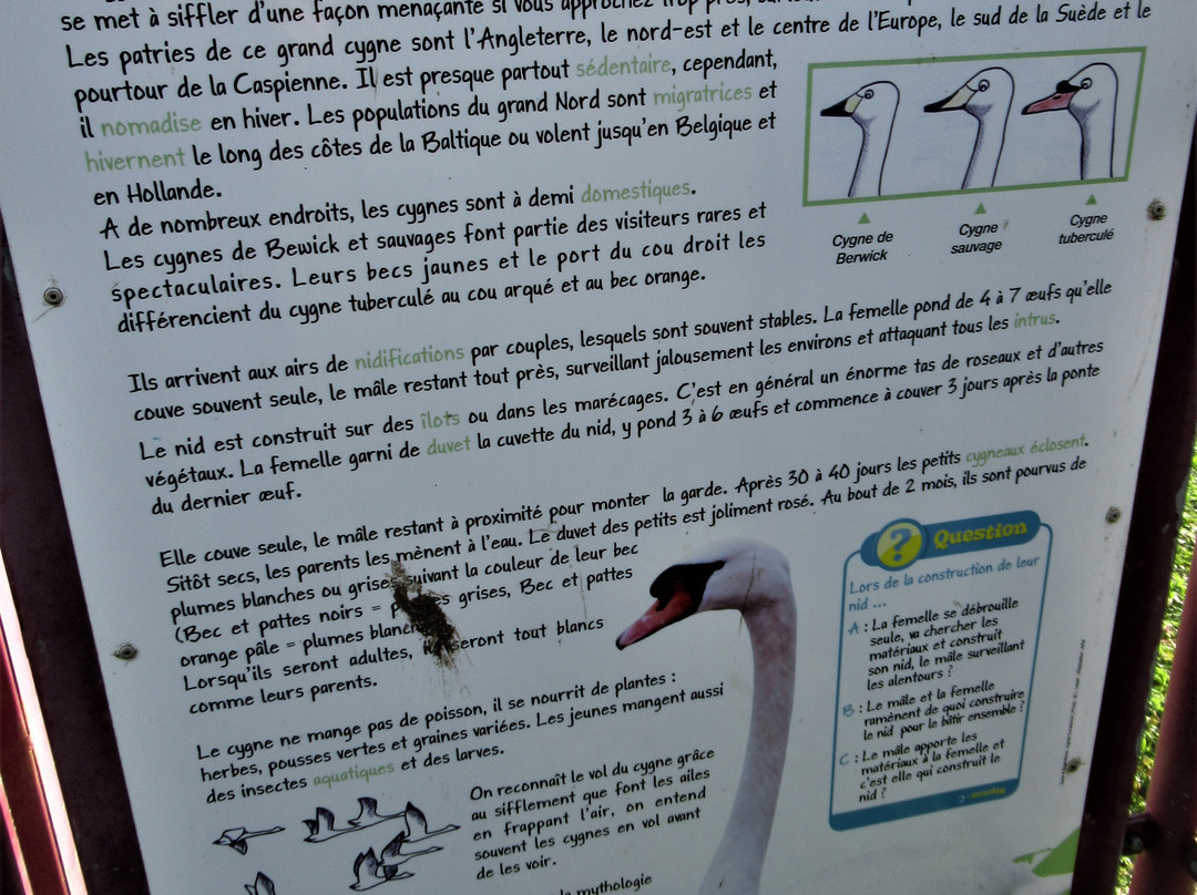 Parc Naturel du Patis-莫城必去景点