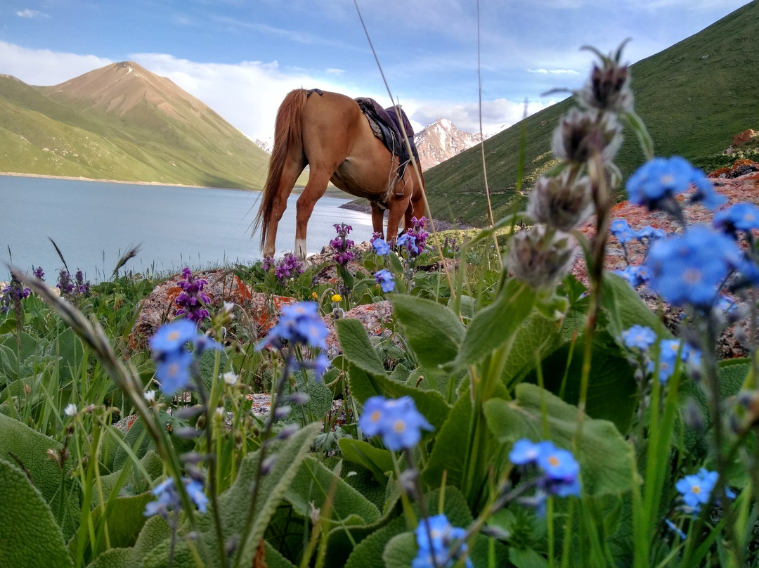 Kol-Ukok Lake-Kochkor必去景点