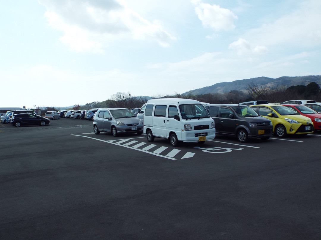 Chuo Undo Park-秦野市必去景点